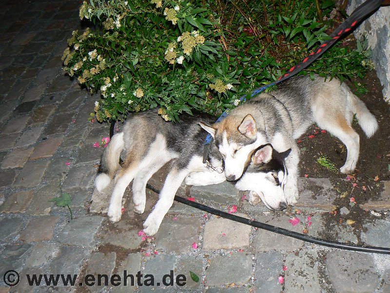 Mittelaltermark_Altena_2011 (30).jpg